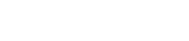 LAYARFILM99